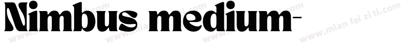 Nimbus medium字体转换